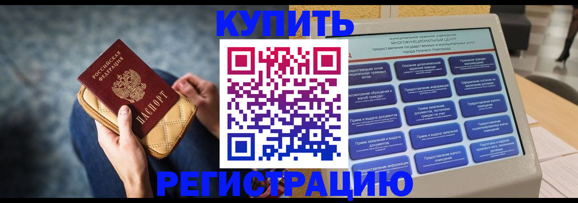 прописка поиск в Павловске
